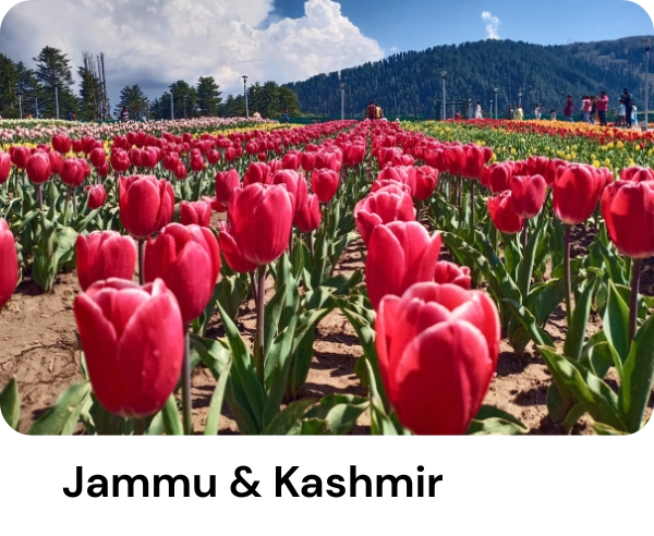 Jammu & Kashmir